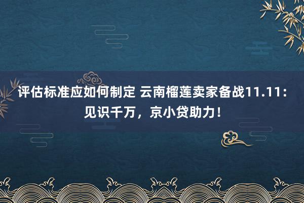 评估标准应如何制定 云南榴莲卖家备战11.11：见识千万，京小贷助力！