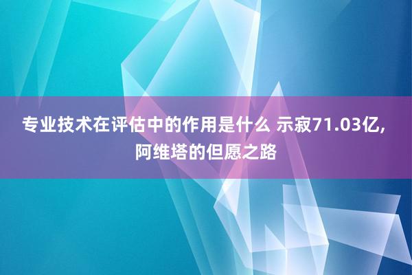 专业技术在评估中的作用是什么 示寂71.03亿, 阿维塔的但愿之路