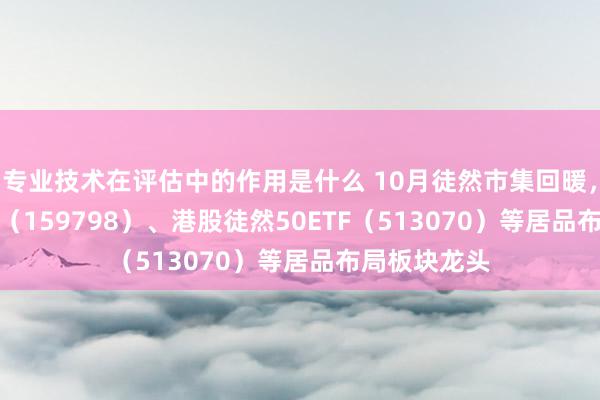 专业技术在评估中的作用是什么 10月徒然市集回暖，徒然50ETF（159798）、港股徒然50ETF（513070）等居品布局板块龙头