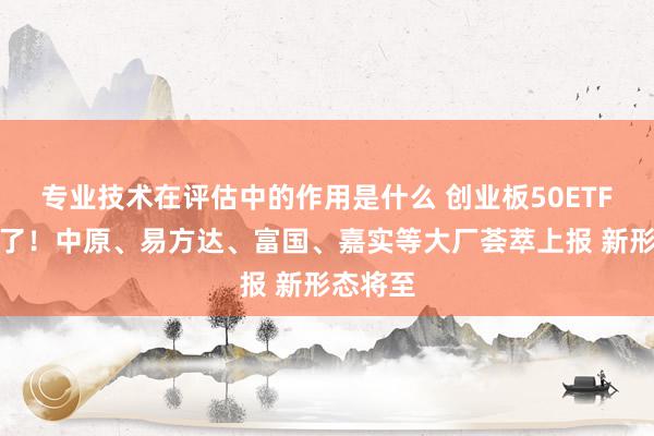 专业技术在评估中的作用是什么 创业板50ETF要扩容了！中原、易方达、富国、嘉实等大厂荟萃上报 新形态将至