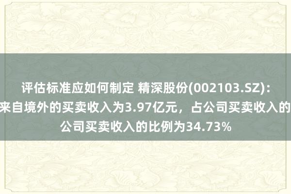 评估标准应如何制定 精深股份(002103.SZ)：2024年上半年来自境外的买卖收入为3.97亿元，占公司买卖收入的比例为34.73%