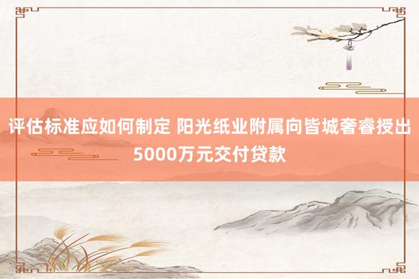 评估标准应如何制定 阳光纸业附属向皆城奢睿授出5000万元交付贷款