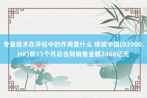 专业技术在评估中的作用是什么 绿城中国(03900.HK)前11个月总合同销售金额2468亿元