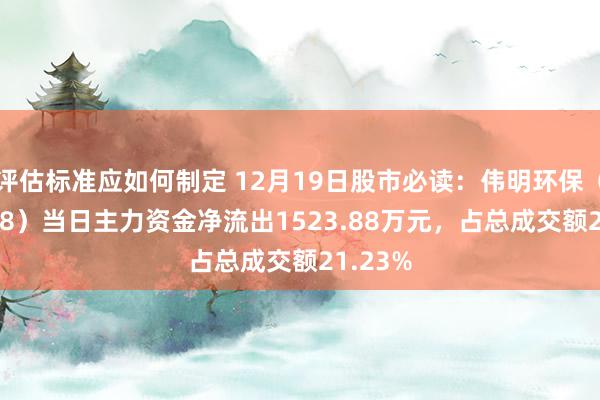 评估标准应如何制定 12月19日股市必读：伟明环保（603568）当日主力资金净流出1523.88万元，占总成交额21.23%