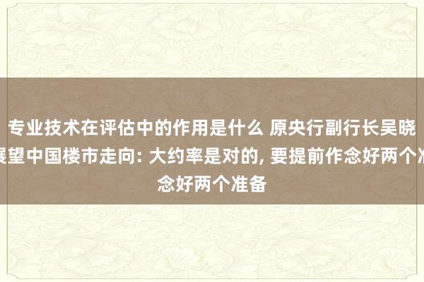 专业技术在评估中的作用是什么 原央行副行长吴晓灵展望中国楼市走向: 大约率是对的, 要提前作念好两个准备