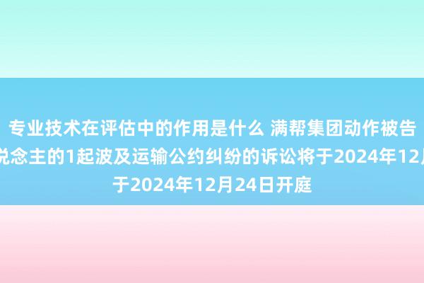 专业技术在评估中的作用是什么 满帮集团动作被告/被上诉东说念主的1起波及运输公约纠纷的诉讼将于2024年12月24日开庭