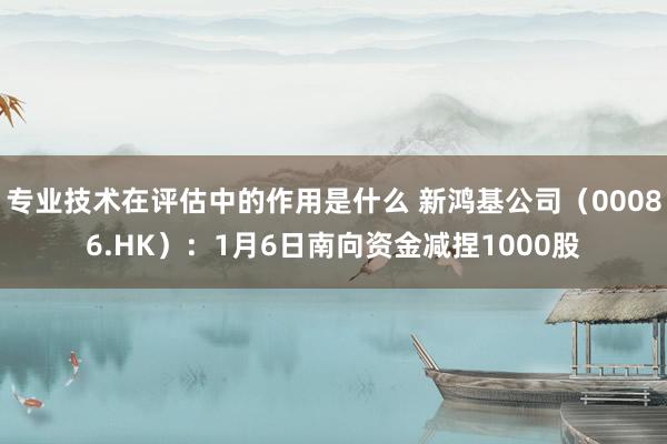 专业技术在评估中的作用是什么 新鸿基公司（00086.HK）：1月6日南向资金减捏1000股