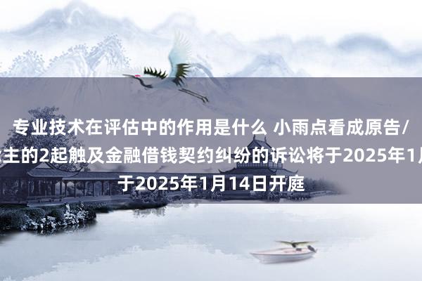 专业技术在评估中的作用是什么 小雨点看成原告/上诉东说念主的2起触及金融借钱契约纠纷的诉讼将于2025年1月14日开庭