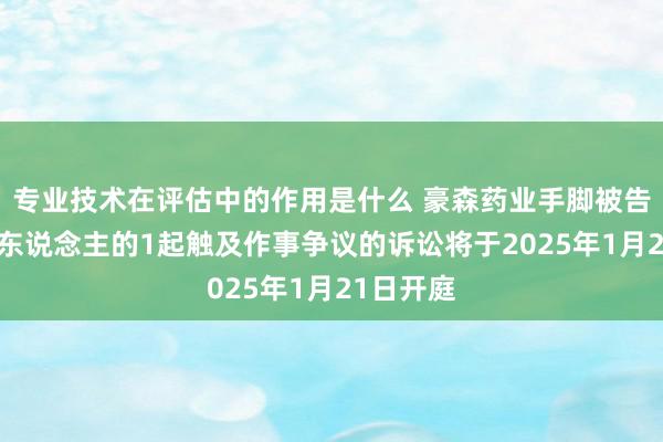 专业技术在评估中的作用是什么 豪森药业手脚被告/被上诉东说念主的1起触及作事争议的诉讼将于2025年1月21日开庭