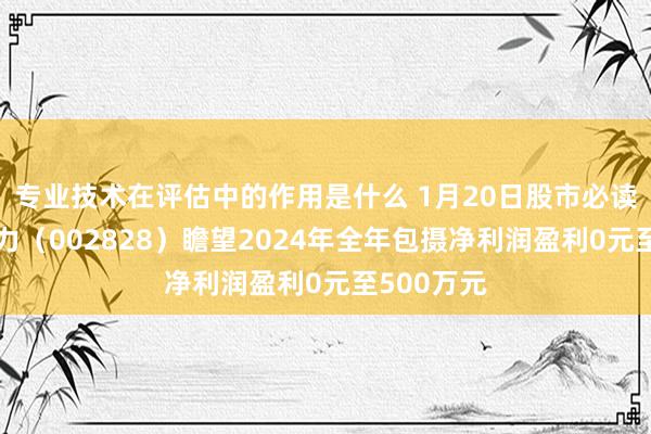 专业技术在评估中的作用是什么 1月20日股市必读：贝肯动力（002828）瞻望2024年全年包摄净利润盈利0元至500万元