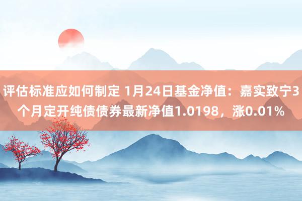 评估标准应如何制定 1月24日基金净值：嘉实致宁3个月定开纯债债券最新净值1.0198，涨0.01%