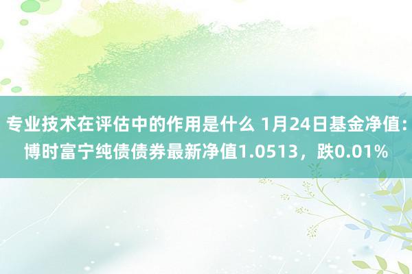 专业技术在评估中的作用是什么 1月24日基金净值：博时富宁纯债债券最新净值1.0513，跌0.01%