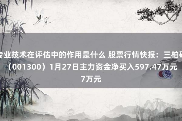 专业技术在评估中的作用是什么 股票行情快报：三柏硕（001300）1月27日主力资金净买入597.47万元