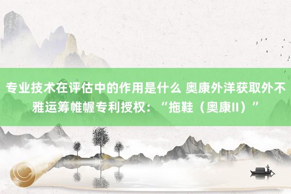 专业技术在评估中的作用是什么 奥康外洋获取外不雅运筹帷幄专利授权：“拖鞋（奥康II）”