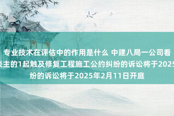 专业技术在评估中的作用是什么 中建八局一公司看成原告/上诉东谈主的1起触及修复工程施工公约纠纷的诉讼将于2025年2月11日开庭