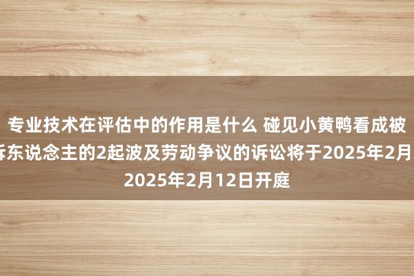 专业技术在评估中的作用是什么 碰见小黄鸭看成被告/被上诉东说念主的2起波及劳动争议的诉讼将于2025年2月12日开庭