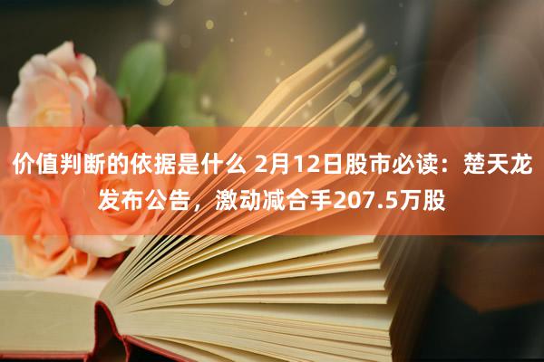 价值判断的依据是什么 2月12日股市必读：楚天龙发布公告，激动减合手207.5万股