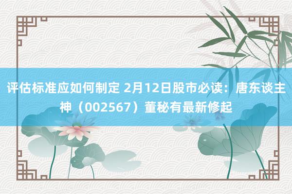 评估标准应如何制定 2月12日股市必读：唐东谈主神（002567）董秘有最新修起