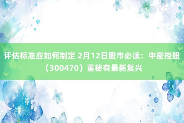 评估标准应如何制定 2月12日股市必读：中密控股（300470）董秘有最新复兴