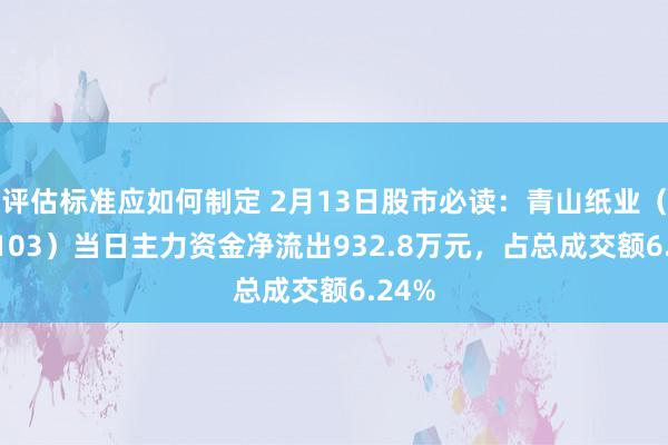 评估标准应如何制定 2月13日股市必读：青山纸业（600103）当日主力资金净流出932.8万元，占总成交额6.24%