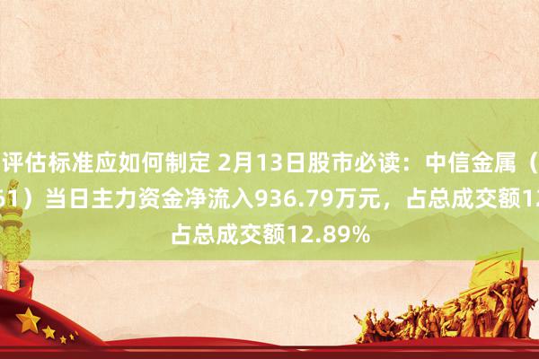 评估标准应如何制定 2月13日股市必读：中信金属（601061）当日主力资金净流入936.79万元，占总成交额12.89%