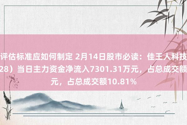 评估标准应如何制定 2月14日股市必读：佳王人科技（600728）当日主力资金净流入7301.31万元，占总成交额10.81%