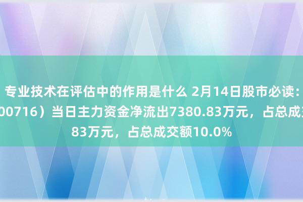 专业技术在评估中的作用是什么 2月14日股市必读：黑芝麻（000716）当日主力资金净流出7380.83万元，占总成交额10.0%