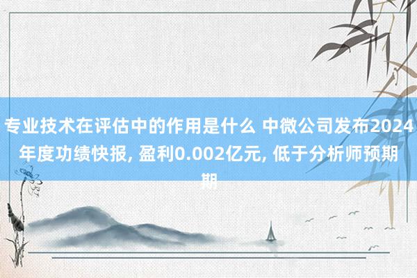 专业技术在评估中的作用是什么 中微公司发布2024年度功绩快报, 盈利0.002亿元, 低于分析师预期