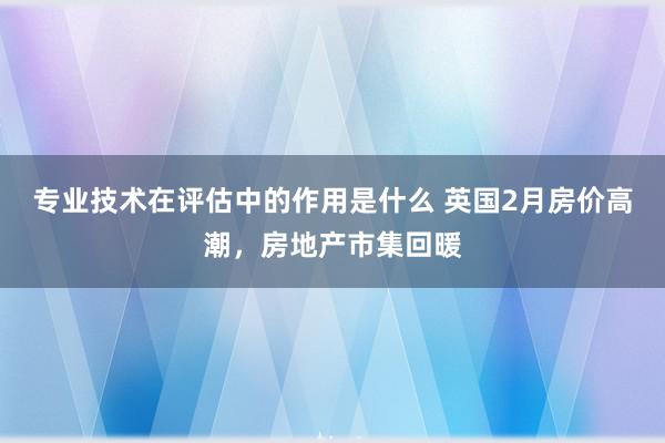 专业技术在评估中的作用是什么 英国2月房价高潮，房地产市集回暖