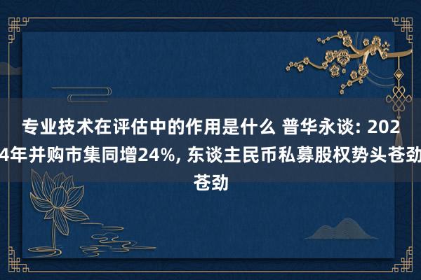 专业技术在评估中的作用是什么 普华永谈: 2024年并购市集同增24%, 东谈主民币私募股权势头苍劲