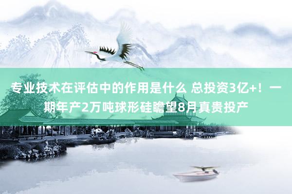 专业技术在评估中的作用是什么 总投资3亿+！一期年产2万吨球形硅瞻望8月真贵投产