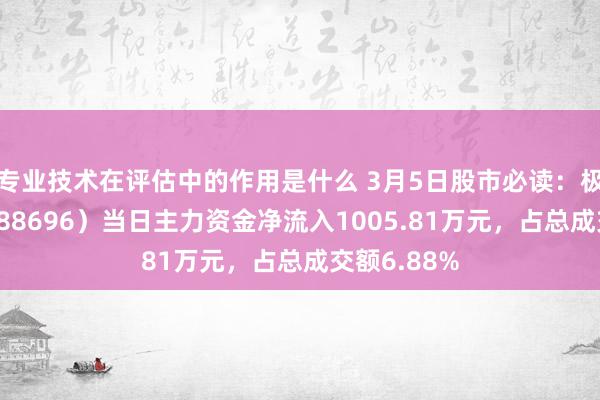 专业技术在评估中的作用是什么 3月5日股市必读：极米科技（688696）当日主力资金净流入1005.81万元，占总成交额6.88%