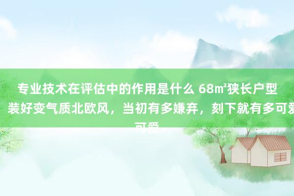 专业技术在评估中的作用是什么 68㎡狭长户型，装好变气质北欧风，当初有多嫌弃，刻下就有多可爱