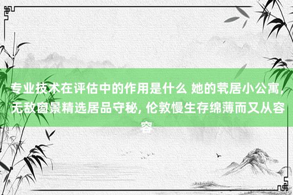 专业技术在评估中的作用是什么 她的茕居小公寓, 无敌窗景精选居品守秘, 伦敦慢生存绵薄而又从容