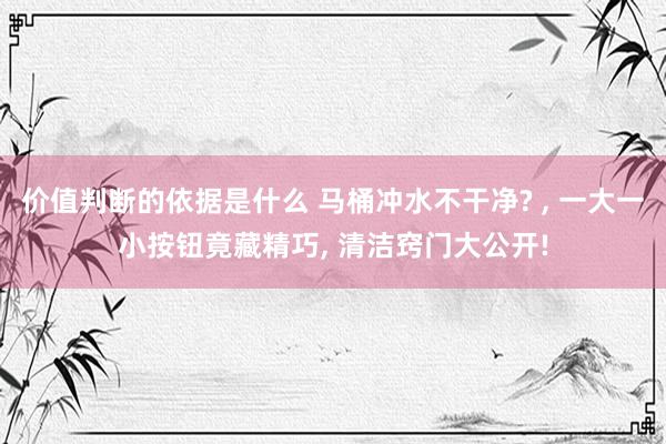 价值判断的依据是什么 马桶冲水不干净? , 一大一小按钮竟藏精巧, 清洁窍门大公开!