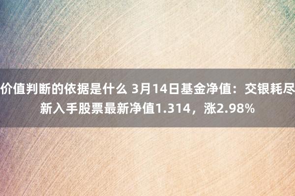 价值判断的依据是什么 3月14日基金净值：交银耗尽新入手股票最新净值1.314，涨2.98%