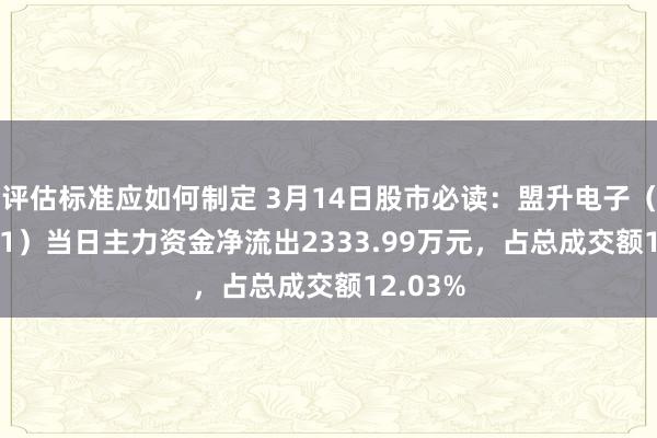 评估标准应如何制定 3月14日股市必读：盟升电子（688311）当日主力资金净流出2333.99万元，占总成交额12.03%