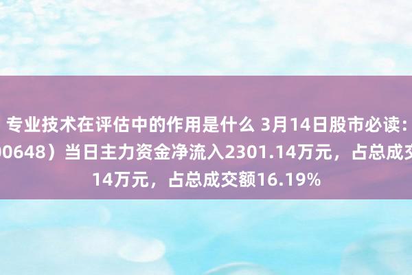 专业技术在评估中的作用是什么 3月14日股市必读：外高桥（600648）当日主力资金净流入2301.14万元，占总成交额16.19%